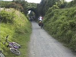 The Tarka Trail continues into Instow